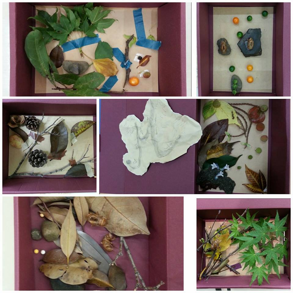 手島まゆ子（自分だけの宝物をみつけよう）