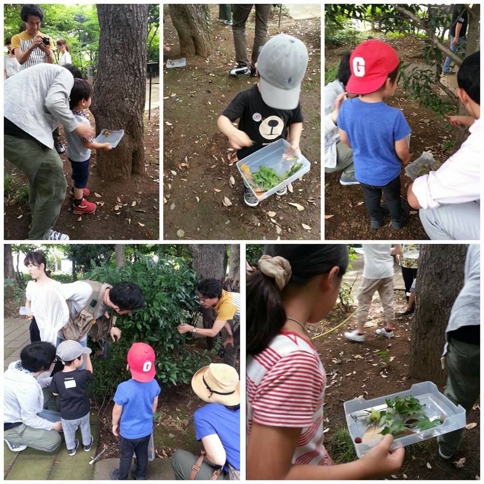 手島まゆ子（自分だけの宝物をみつけよう）