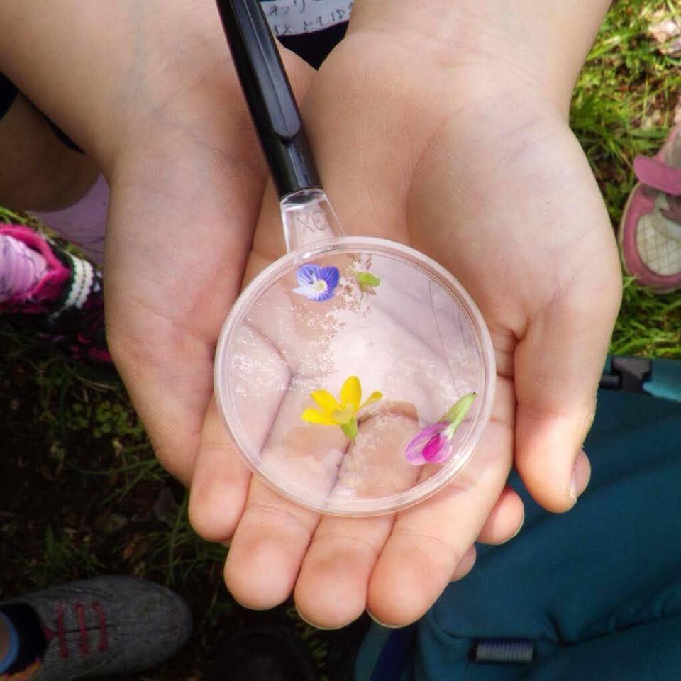 ＮＰＯ法人　生態教育センター3